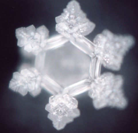 Water Crystal for Global Love Day